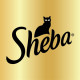 Sheba Sheba