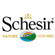 Schesir