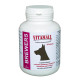 Кормова добавка VitamAll з пивними дріжджами і часником, для великих собак, 90 табл / 180 г