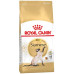 Сухий корм Royal Canin Siamese Adult для сіамської кішки, 400 г
