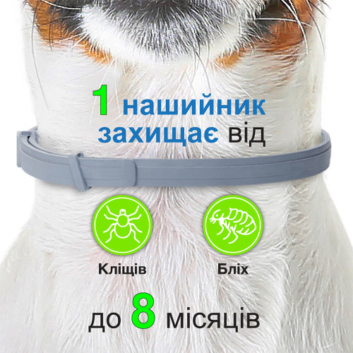 Нашийник Bayer Foresto проти бліх та кліщів для котів і собак, 38 см