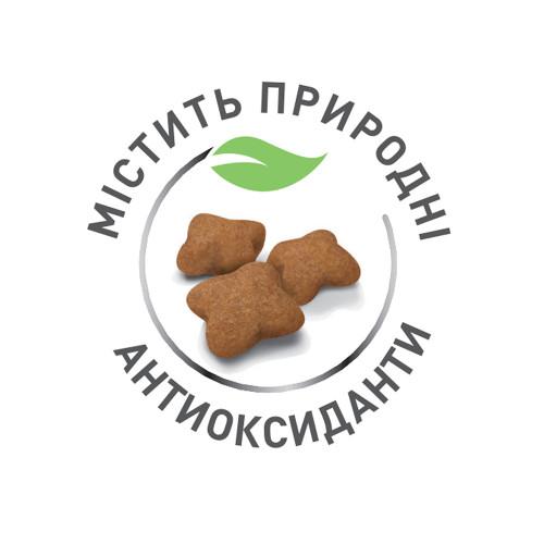 Сухий корм Royal Canin Kitten для кошенят від 4 до 12 місяців, 2 кг