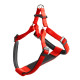 Нейлонова шлейки Ferplast Daytona P Harness Medium Red для собак, A: 51 ÷ 55 см, B: 53 ÷ 61 см