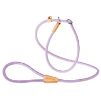Поводок з нашийником з еко-шкіри Ferplast Derby GC10 / 160 Purple для собак, 10 мм, 160 см