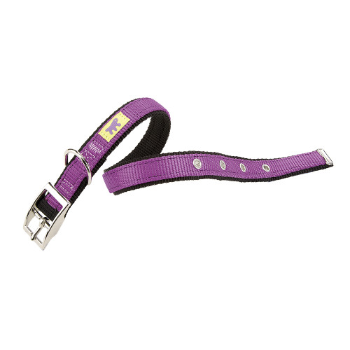 Нейлоновий нашийник Ferplast Dual CF20 / 43 Colours Purple для собак, 20 мм, A: 35 ÷ 43 см