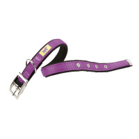Нейлоновий нашийник Ferplast Dual CF25 / 43 Colours Purple для собак, 25 мм, A: 37 ÷ 45 см