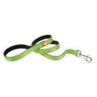 Нейлоновий поводок Ferplast Dual G20 / 110 Colours Green для собак, 20 мм, 110 см