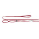Регульована шлею Ferplast NY Rod Harness Rodents Red для морських свинок, червона