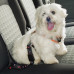 Автомобільний ремінь безпеки Ferplast Dog Safety Belt для собак дрібних і середніх порід, 25 мм, 37-50 см