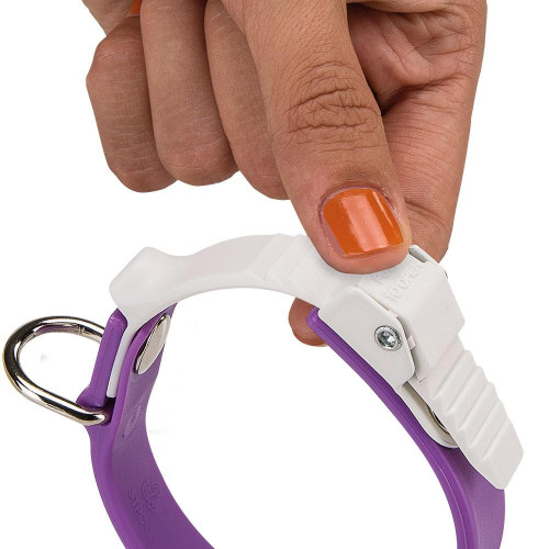 Еластичний нашийник з системою регулювання Ferplast Ergoflex C15 / 22 Purple для собак, A: 18 ÷ 22 см, B: 15 мм