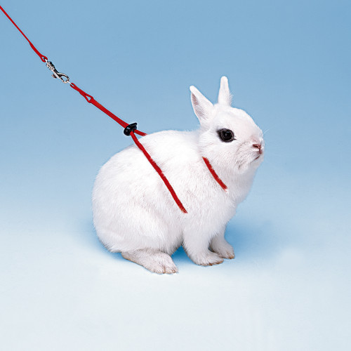 Регульована шлею Ferplast NY Rab Harness Rabbits Red для кроликів, червона