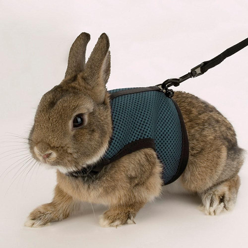 Шлейка Ferplast Jogging Medium-harness для дрібних тварин