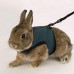 Шлейка Ferplast Jogging Medium-harness для дрібних тварин