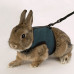 Шлейка Ferplast Jogging Large-harness для дрібних тварин
