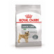 Сухий корм Royal Canin Mini Dental Care для зменшення утворення зубного каменю у собак дрібних порід, 3 кг