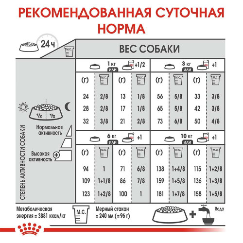 Сухий корм Royal Canin Mini Coat Care для собак дрібних порід з тьмяною і сухий шерстю, 1 кг