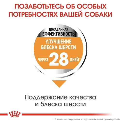 Сухий корм Royal Canin Mini Coat Care для собак дрібних порід з тьмяною і сухий шерстю, 3 кг