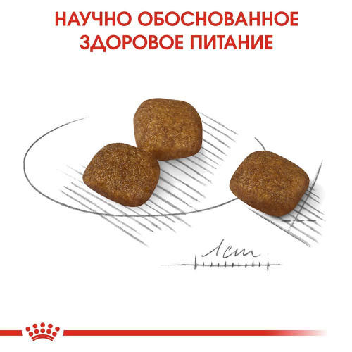 Сухий корм Royal Canin Mini Coat Care для собак дрібних порід з тьмяною і сухий шерстю, 3 кг
