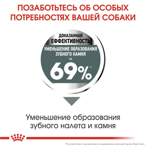 Сухий корм Royal Canin Mini Dental Care для зменшення утворення зубного каменю у собак дрібних порід, 1 кг