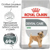 Сухий корм Royal Canin Mini Dental Care для зменшення утворення зубного каменю у собак дрібних порід, 1 кг