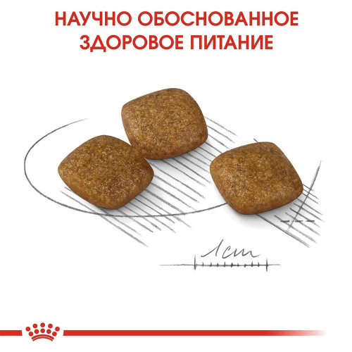 Сухий корм Royal Canin Mini Relax Care з заспокійливою дією для собак дрібних порід, 1 кг