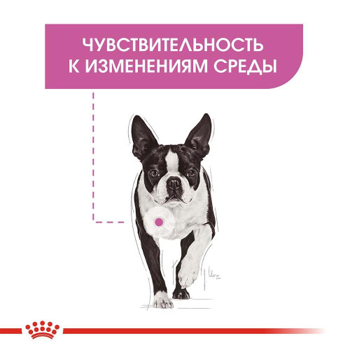 Сухий корм Royal Canin Mini Relax Care з заспокійливою дією для собак дрібних порід, 3 кг