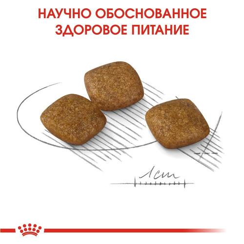 Сухий корм Royal Canin Mini Relax Care з заспокійливою дією для собак дрібних порід, 3 кг