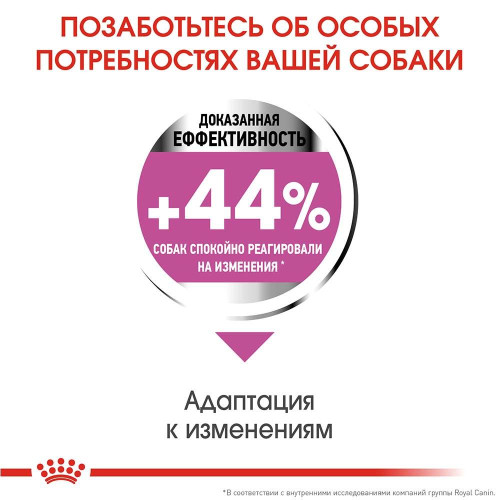 Сухий корм Royal Canin Mini Relax Care з заспокійливою дією для собак дрібних порід, 3 кг