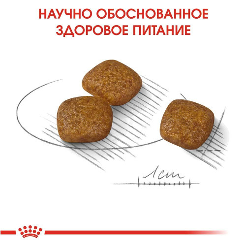 Сухий корм Royal Canin Mini Urinary Care для собак дрібних порід з чутливою сечовидільної системою, 1 кг