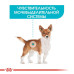 Вологий корм Royal Canin Urinary Care для собак з чутливою сечовидільної системою, паштет, 85 г