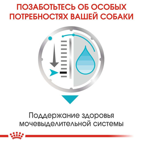 Вологий корм Royal Canin Urinary Care для собак з чутливою сечовидільної системою, паштет, 85 г