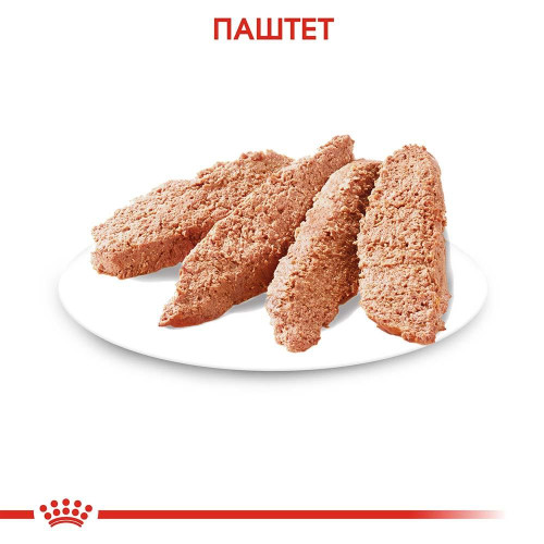 Вологий корм Royal Canin Dermacomfort для собак з чутливою шкірою, паштет, 85 г
