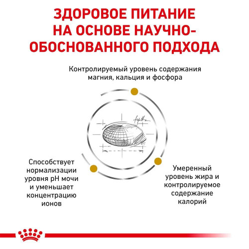 Сухий корм Royal Canin Urinary S / O Moderate Calorie при сечокам'яній хворобі у котів, 400 г