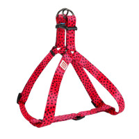 Шлея Waudog Nylon для собак з малюнком Кавун 25 мм, 60-90 см Шлея Waudog Nylon для собак з малюнком Кавун 25 мм, 60-90 см