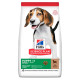 Сухий корм Hill's Science  Plan Puppy Medium для цуценят, з ягням і рисом, 14 кг