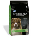 Сухий корм Equilibrio Dog суперпреміум, для собак середніх порід, 15 кг