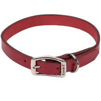 Шкіряний нашийник Coastal Circle T Leather Town для собак, червоний, 2.5×55 см