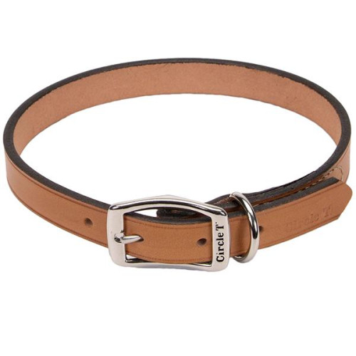 Шкіряний нашийник Coastal Circle T Leather Town для собак, бежевий, 2.5×60 см