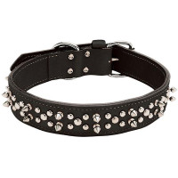 Подвійний нашийник Coastal Spiked Leather для собак, з шипами, чорний, 4.25×65 см Подвійний нашийник Coastal Spiked Leather для собак, з шипами, чорний, 4.25×65 см