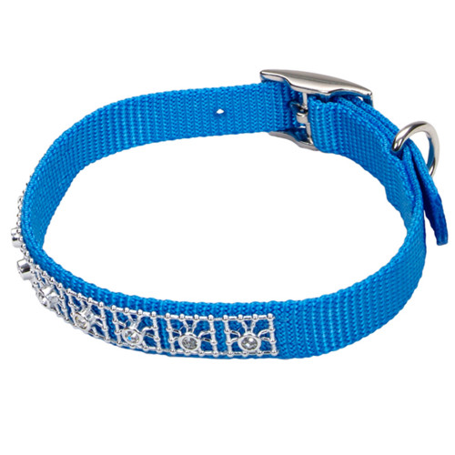 Нашийник Coastal Jeweled для собак, блакитна лагуна, 1×25 см