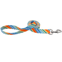 Нейлоновый поводок Coastal Pet Attire для собак, 1×1.8 см