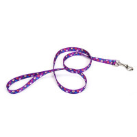 Повідець Coastal Pet Attire Style для собак, лапка, 2×1.2 м