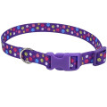 Нашийник Coastal Pet Attire Style для собак, фіолетовий, 2×35-50 см