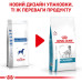 Сухий корм Royal Canin Anallergenic при харчовій алергії у собак, 8 кг