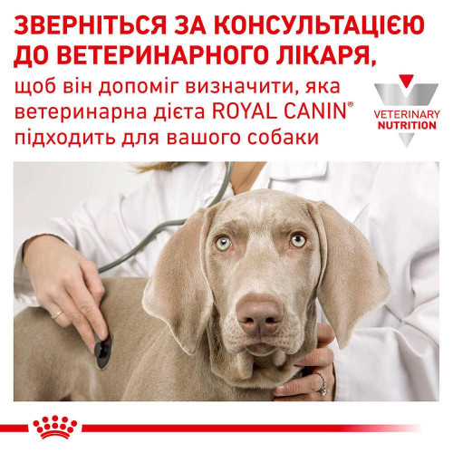 Сухий корм Royal Canin Anallergenic при харчовій алергії у собак, 8 кг
