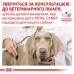 Сухий корм Royal Canin Anallergenic при харчовій алергії у собак, 8 кг