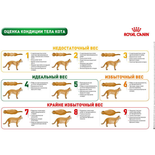 Сухий корм Royal Canin Mature Consult для кішок від 7 років без видимих ​​ознак старіння, 3.5 кг