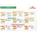 Сухий корм Royal Canin Mature Consult для кішок від 7 років без видимих ​​ознак старіння, 3.5 кг
