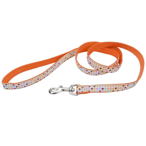 Повідець Coastal Pet Attire Ribbon для собак, різнокольоровий, 1.6×1.2 м