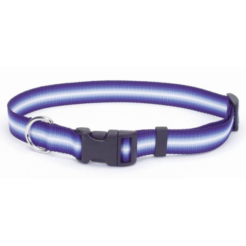 Нашийник Coastal Trendz Graduated для собак, синій, 1×30 см
